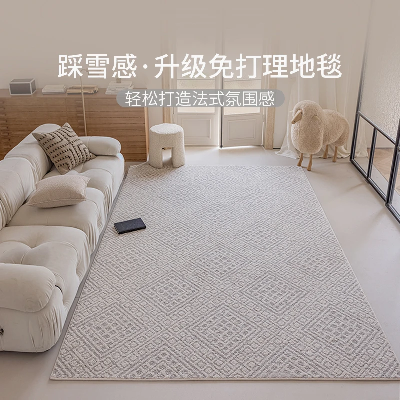 客厅地毯2025新款现代简约防水防污轻奢高级感免洗易打理家用卧室