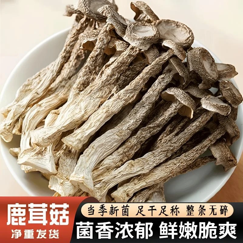 【免费试吃】鹿茸菇净重干货深山农家日晒新货鲜香炒菜煲汤凉拌批发
