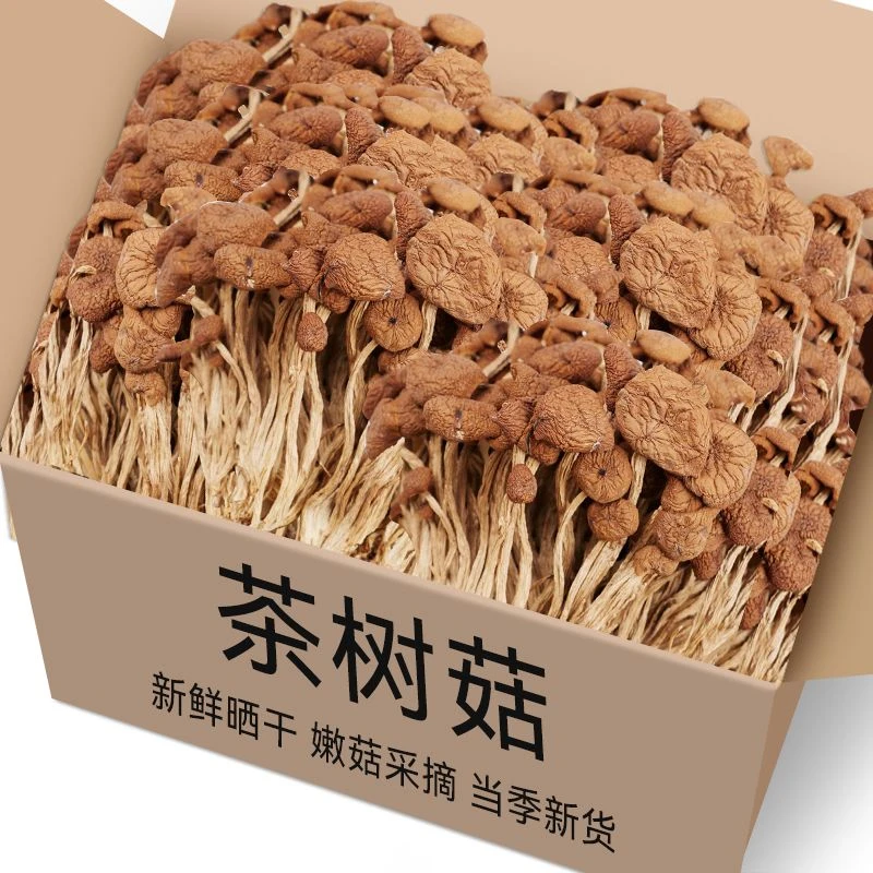 净重正宗茶树菇干货500g精品农家特产级干货菌菇茶树菇老鸭汤30克