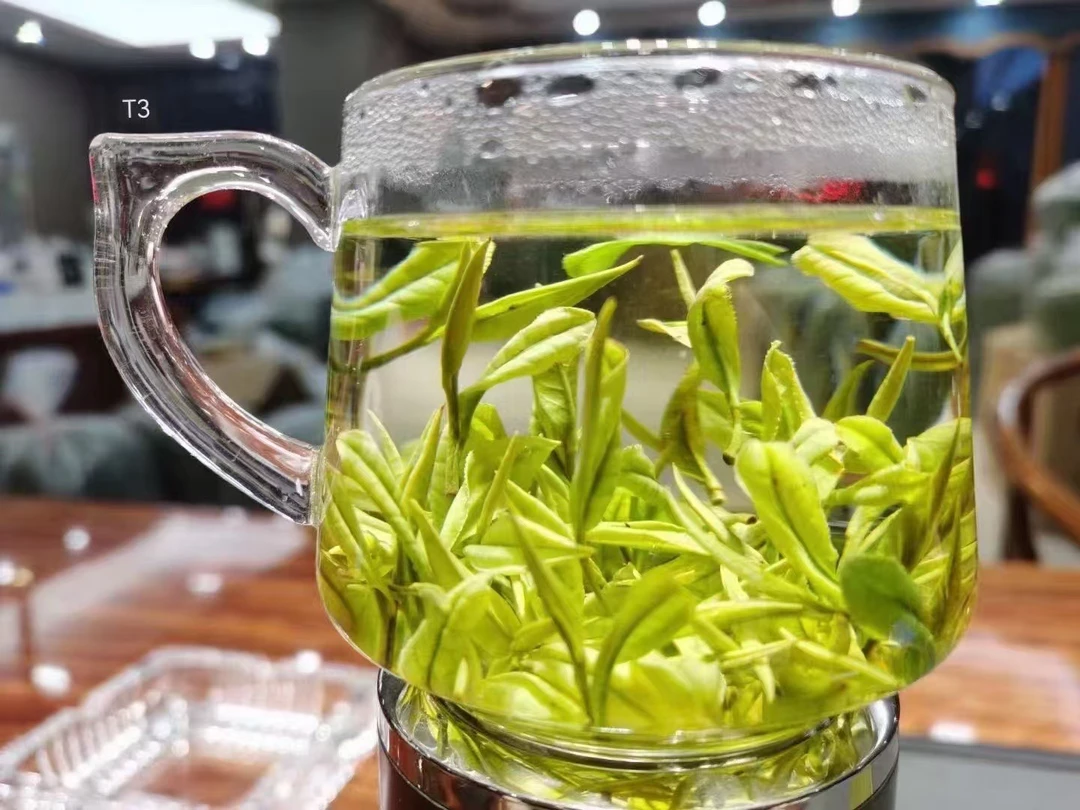 （开播福利）2024年新茶A16俊琪安吉白茶浓香浓泡型250克