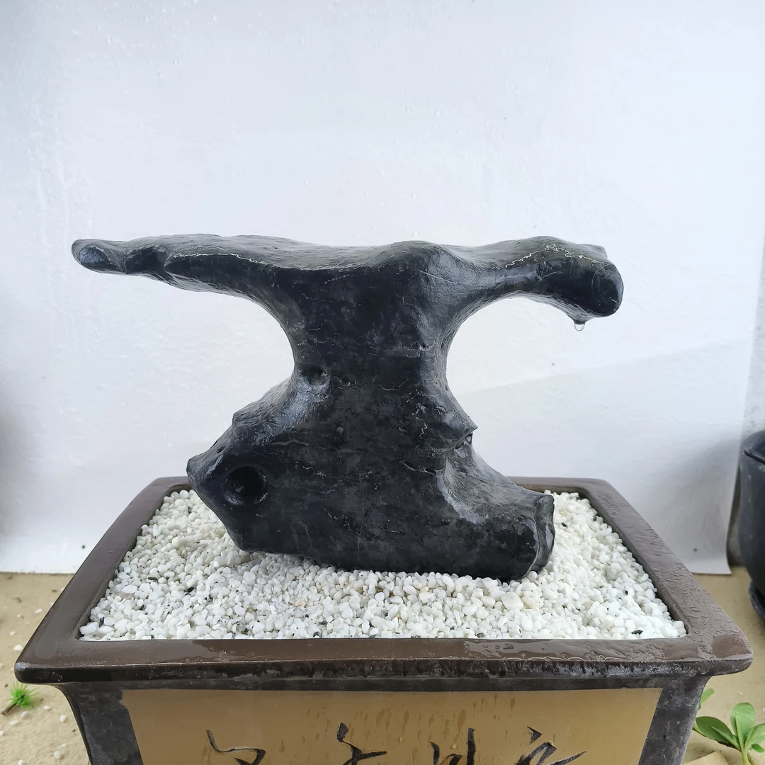 倚山奇石砂石附树石开槽鱼缸石树抱石盆景石墨石禅石英石