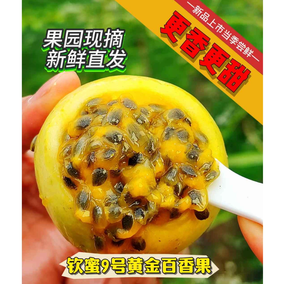 黄金百香果大果8斤（送开果器）