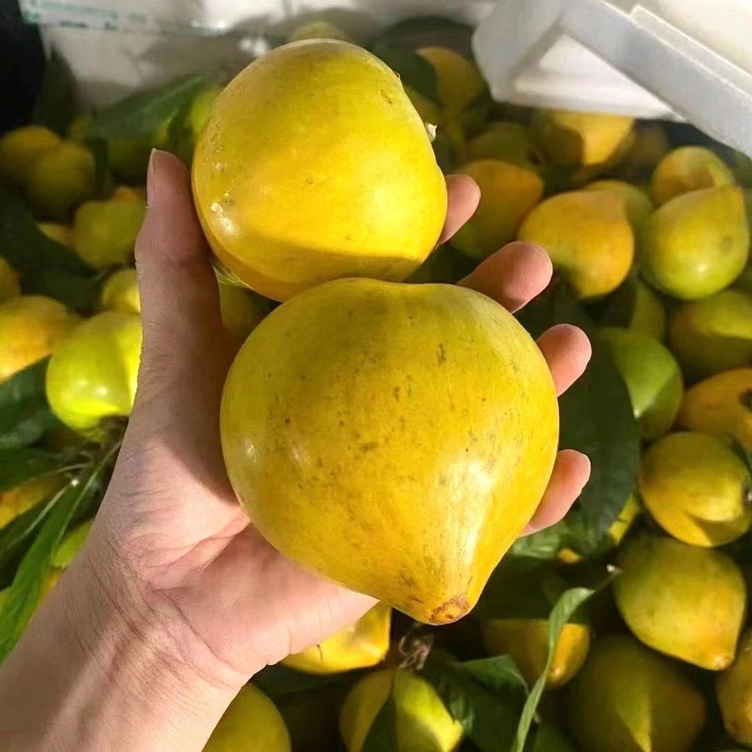 云南蛋黄果鸡蛋果粉糯香甜当季水果大果整箱发货