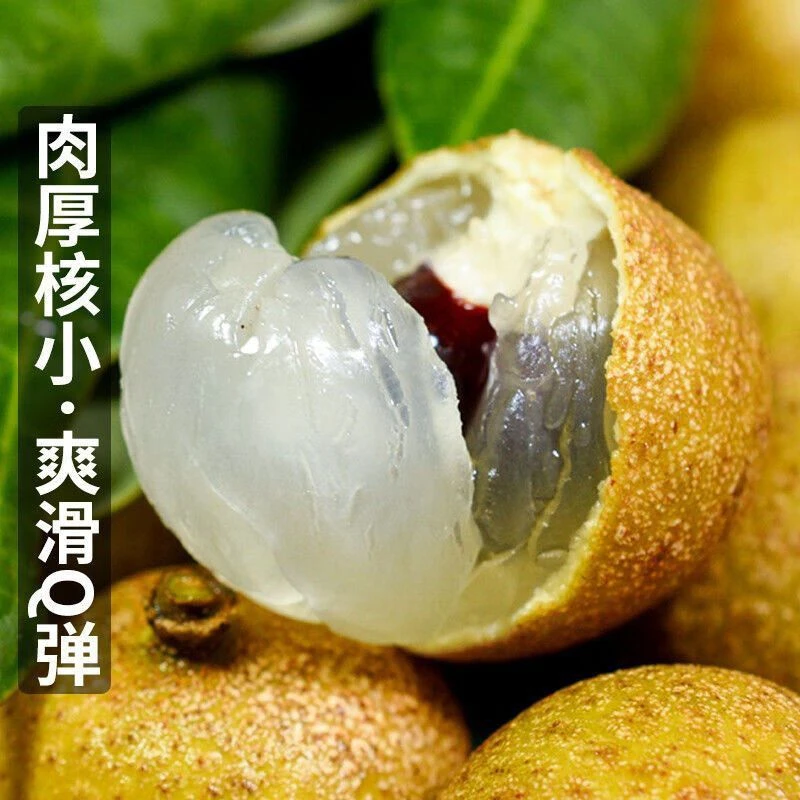 云南保山潞江坝石硖龙眼新鲜采摘爆甜冷链包邮香蕉