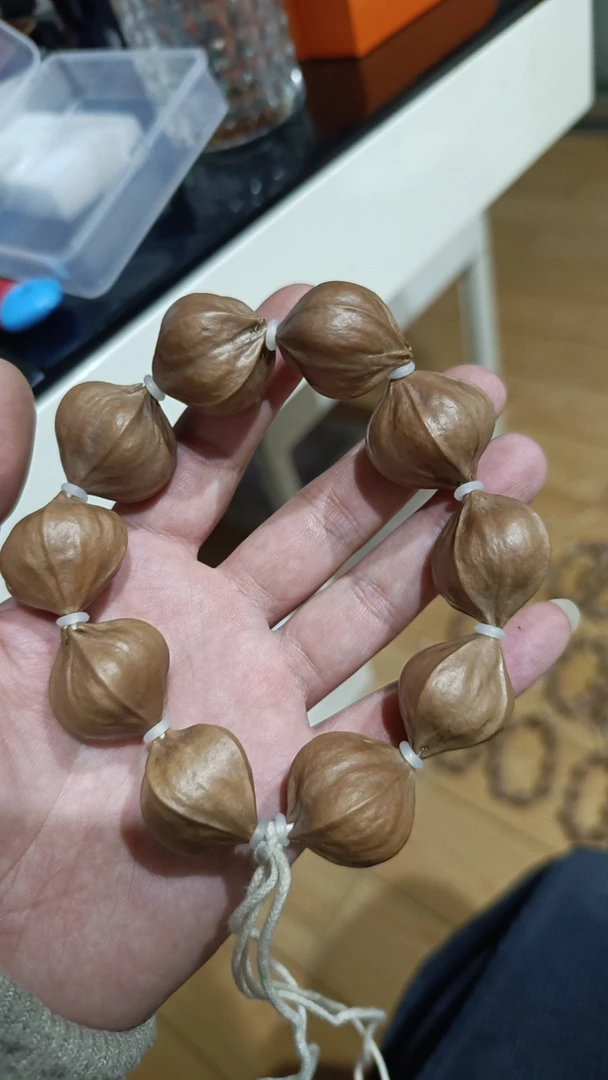 橄榄核四花橄榄核铁核，26+