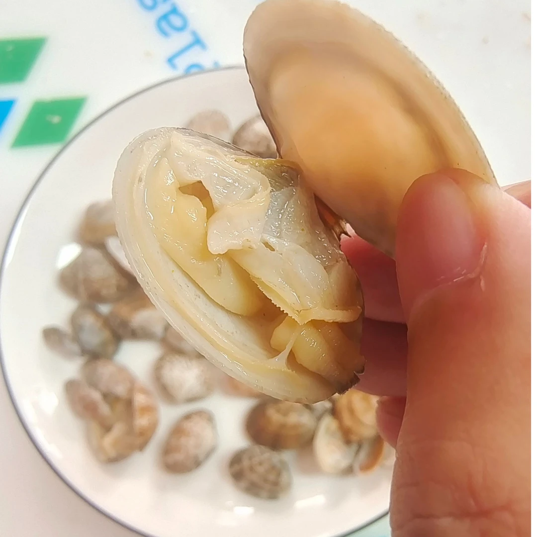 大连新鲜真空煮熟蚬子蛤喇鲜冻顺丰冷冻发货包邮