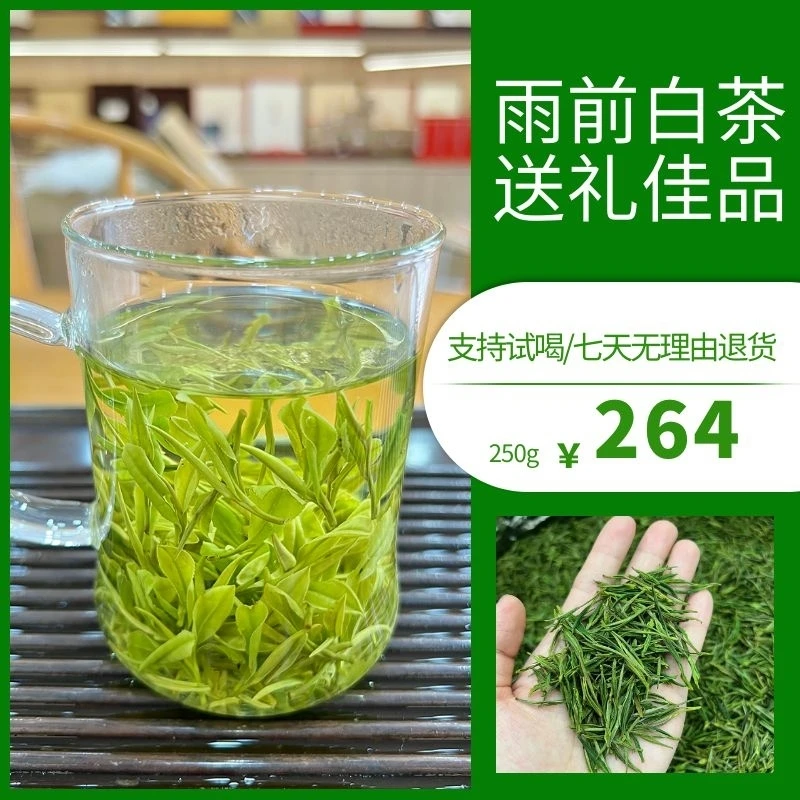 安吉原产地雨前白茶250g-500g