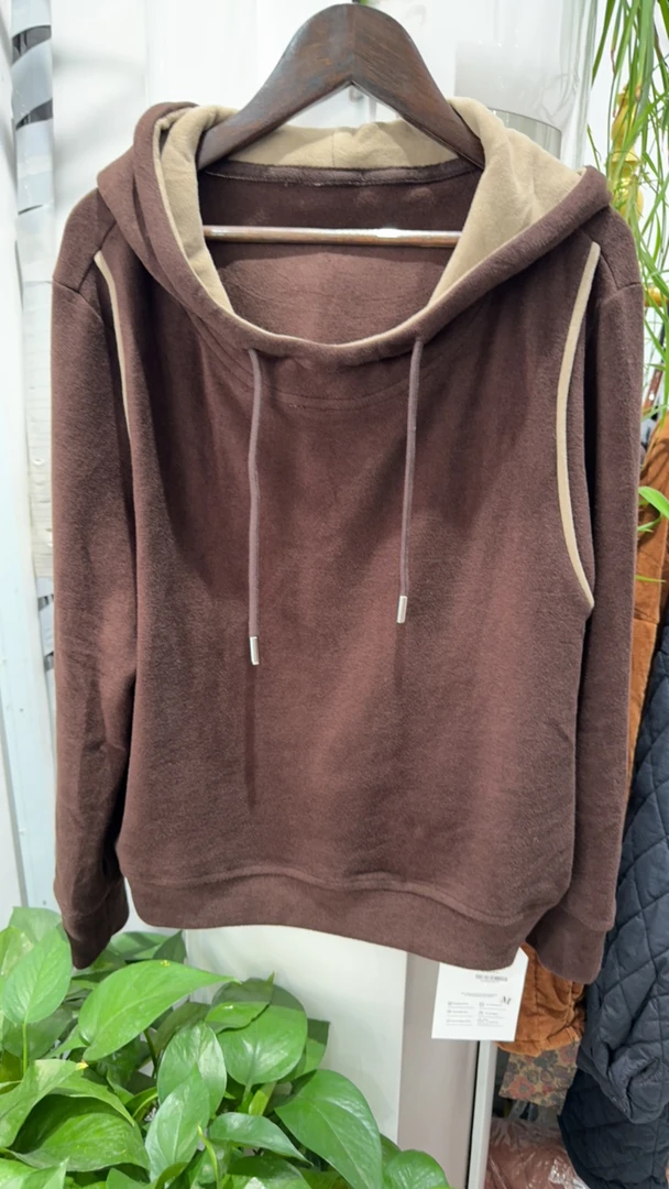 柔软加厚连帽卫衣秋冬韩版显瘦百搭德绒帽衫