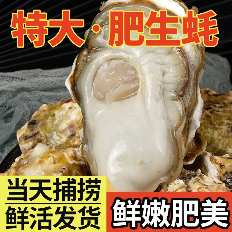 【老黄推荐】正宗乳山生蚝 净重五斤 原产地发货包邮