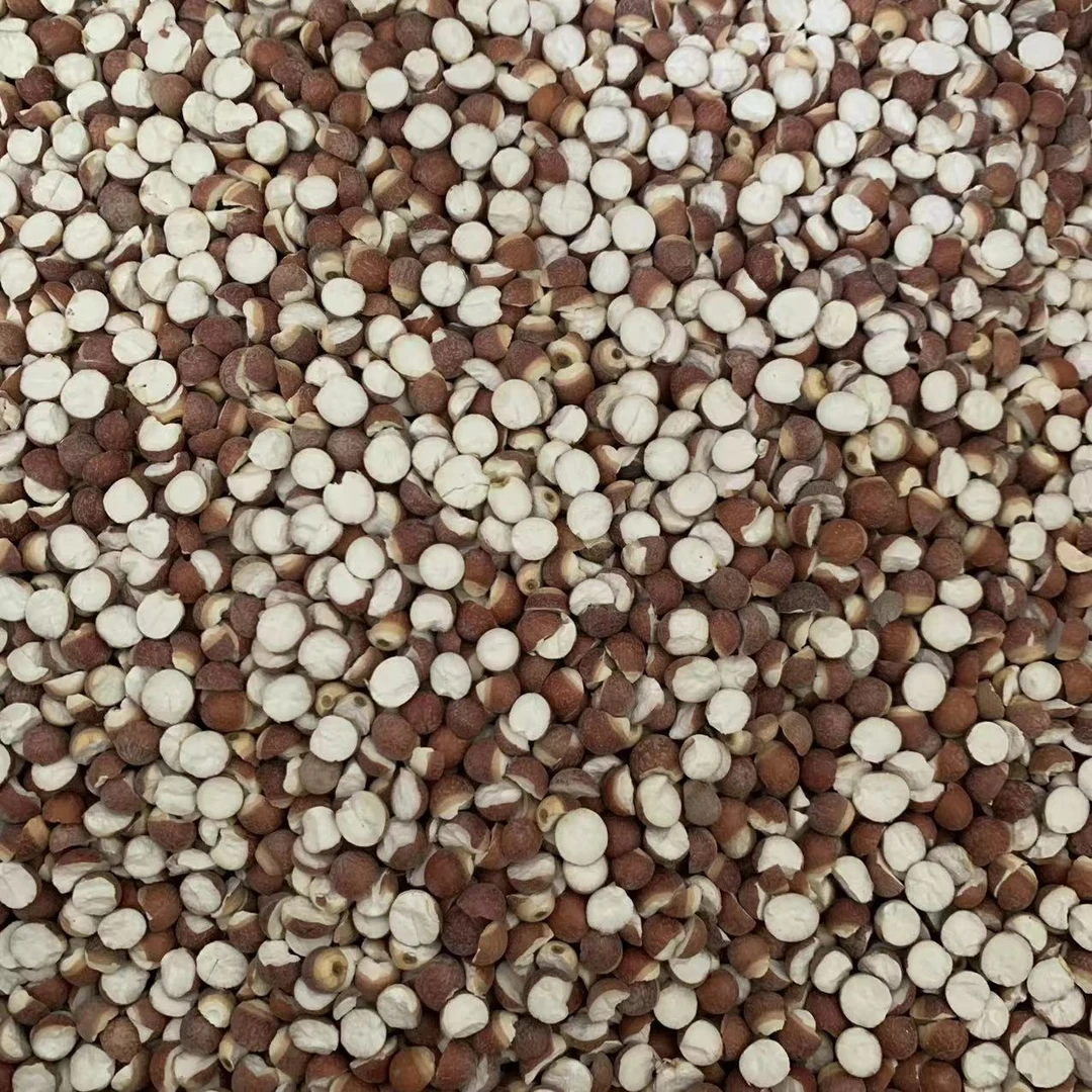 【三三】开边红芡实 500g