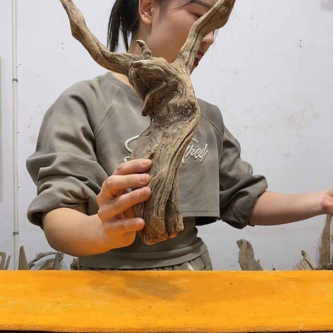 【闪购商品】柏木德*e