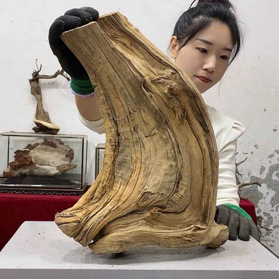 【闪购商品】柏木崖***1我们都是好孩子