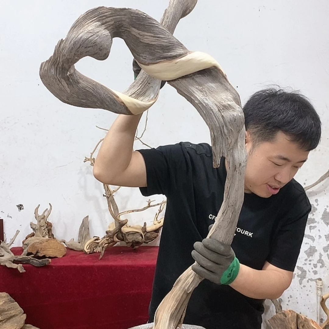 【闪购商品】柏木河****馆我们的生活也是如此