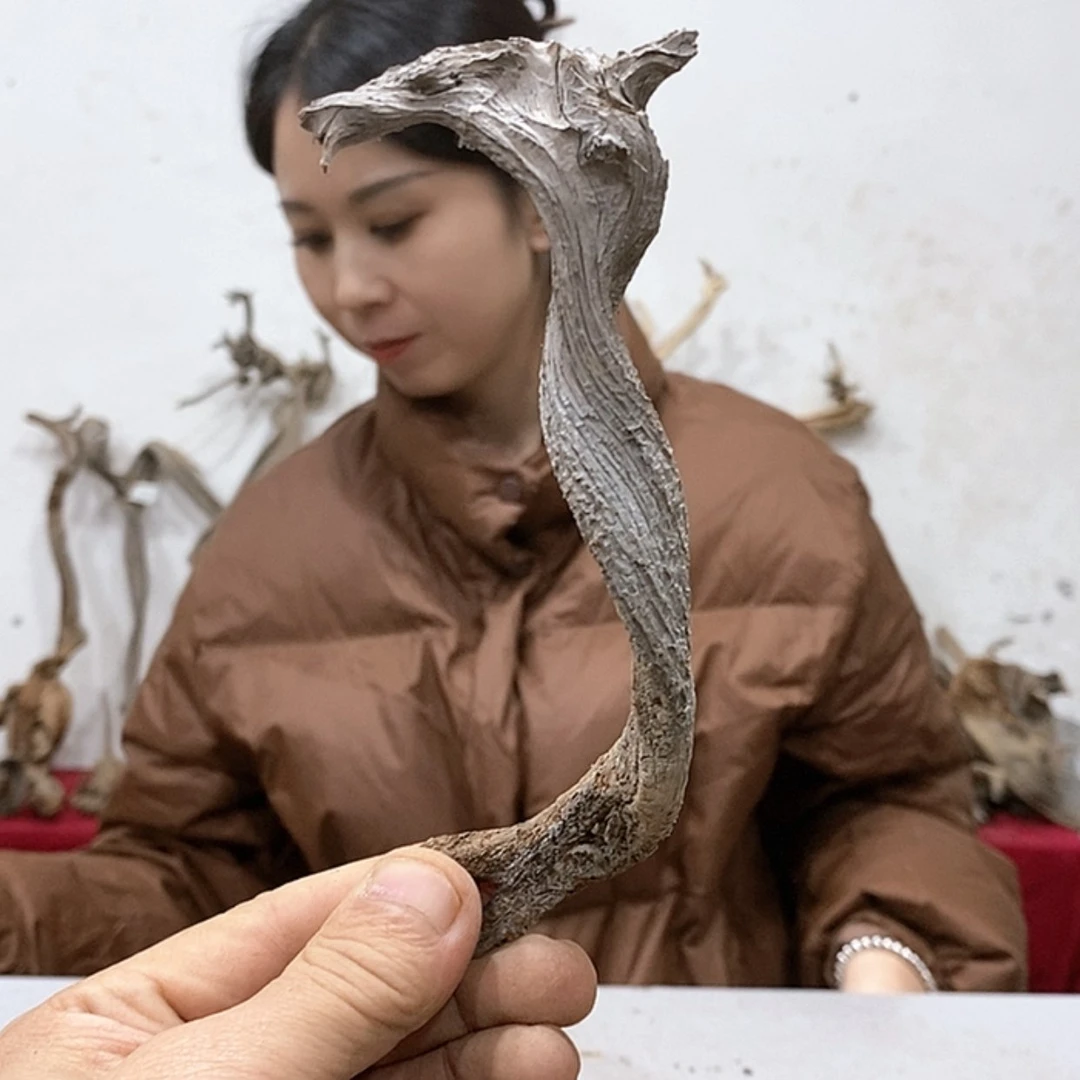 【闪购商品】柏木优**园我们都是好孩子