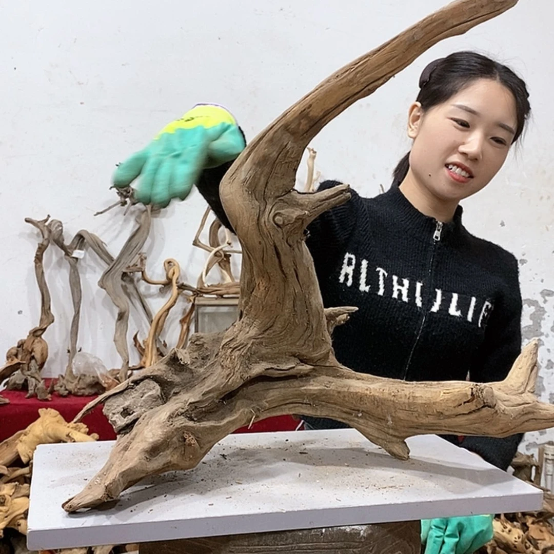 【闪购商品】柏木穆**J我们都是好孩子