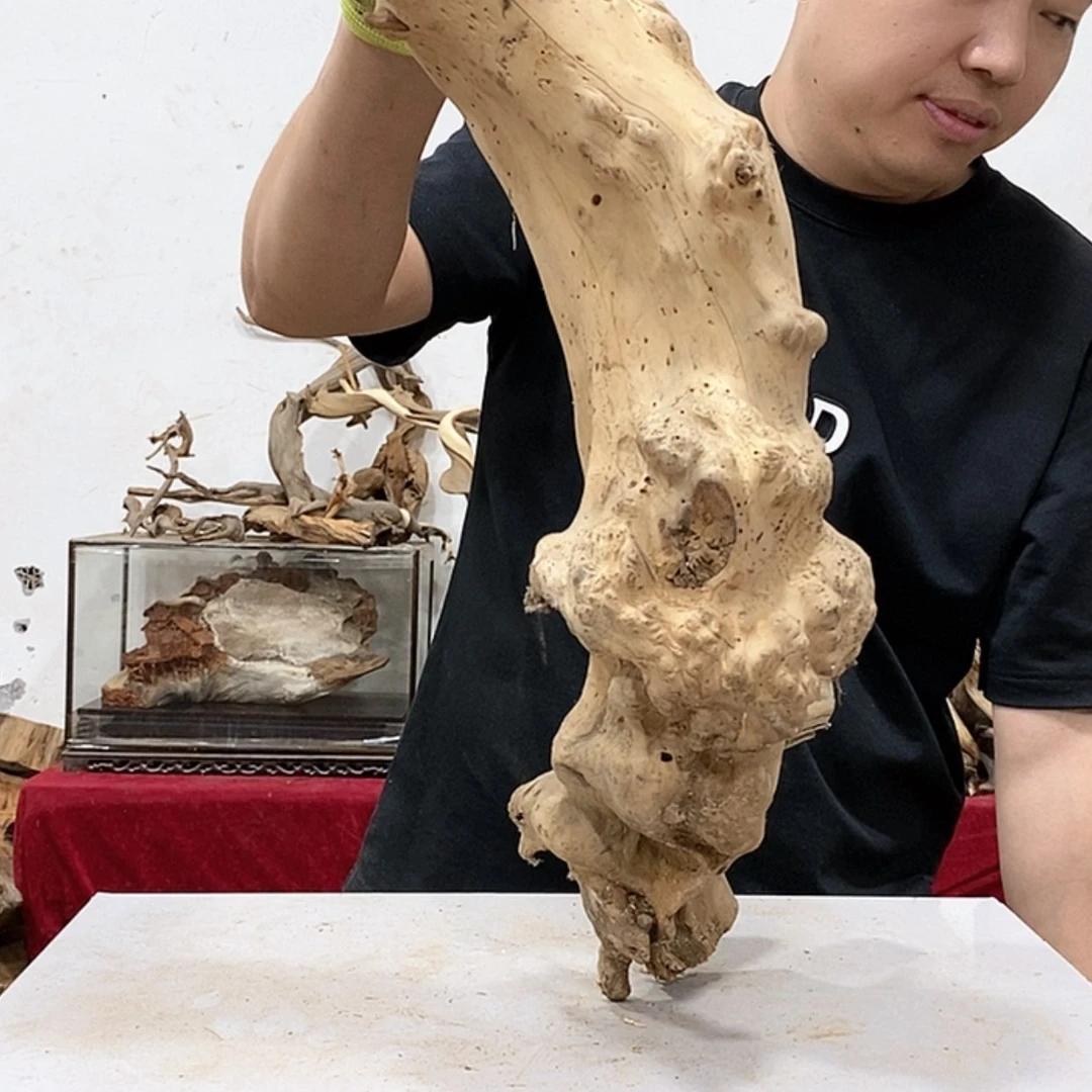 【闪购商品】柏木3**0我们都是好孩子