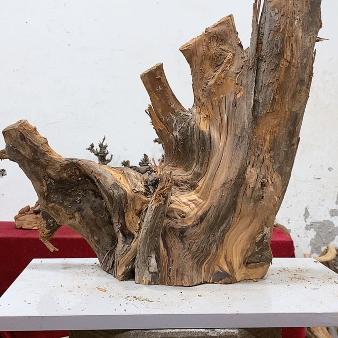 【闪购商品】柏木欢*河南省焦作市柏匠