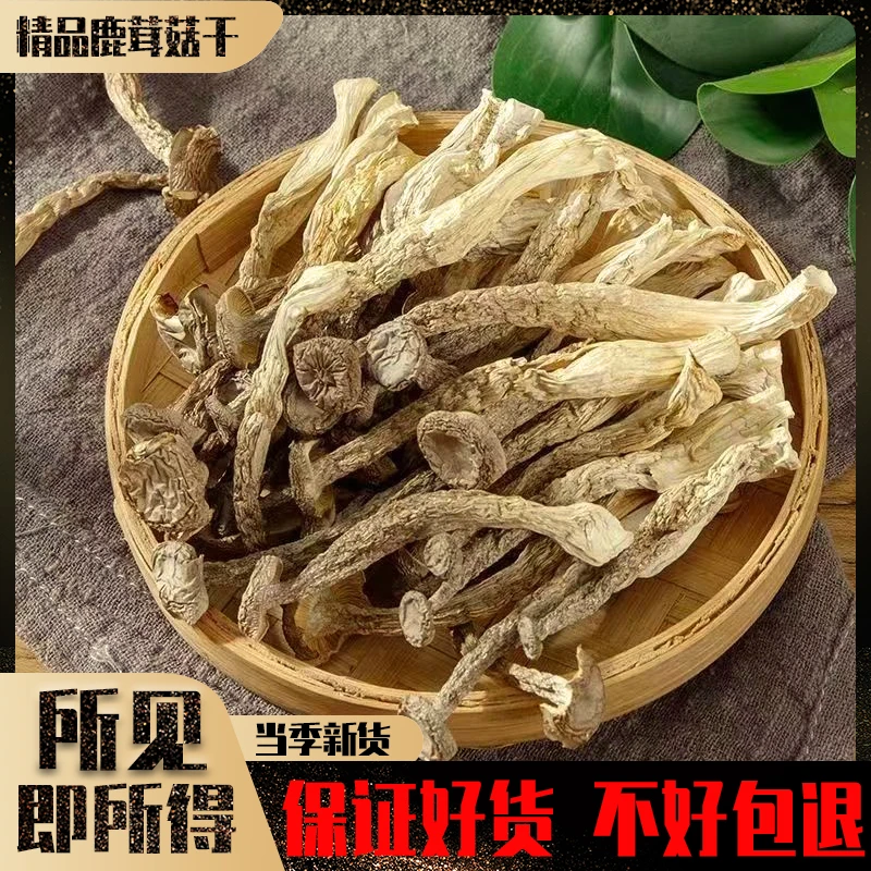 甄选脆脆菇干货古田农家食用菌汤包无硫煲汤浓郁鲜美营养鹿茸菇干