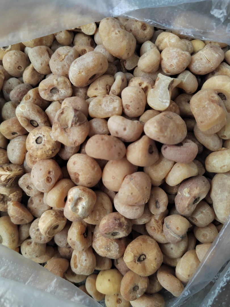 旺里土特产  御黄单 非香菇