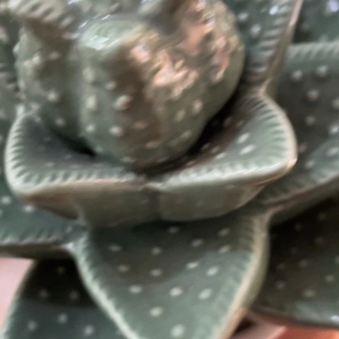 【闪购商品】摆件d****f摆件摆件摆件摆件摆件不
