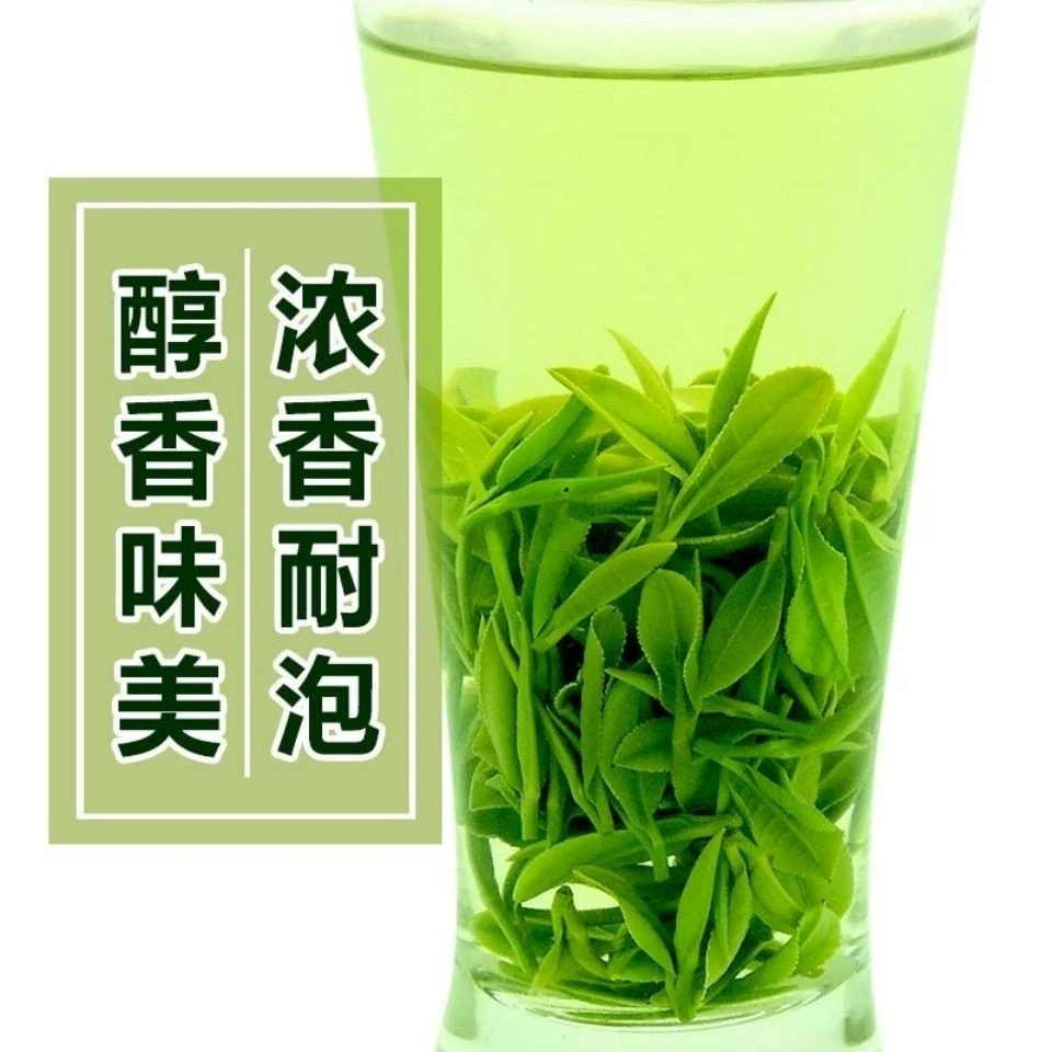 2023信阳毛尖雨前头春芽叶浓香耐泡实惠口粮茶绿茶250g