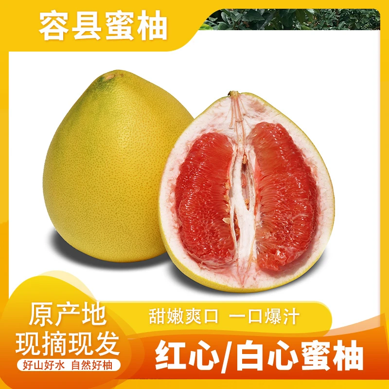 广西容县红心蜜柚白心蜜柚酸甜多汁新鲜果粒浓郁产地精选礼盒装