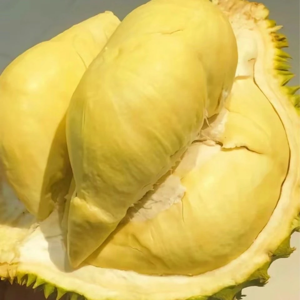 越南A级金枕榴莲保45%出肉率