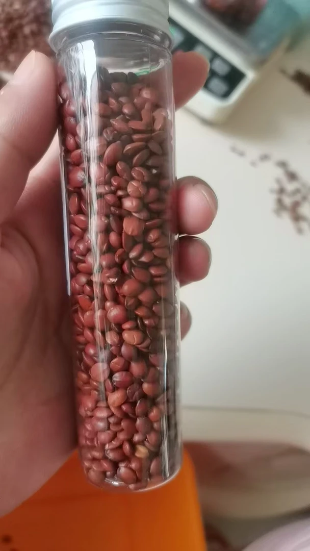 【酸枣仁】手工精选绿色正宗无壳纯野生酸枣仁