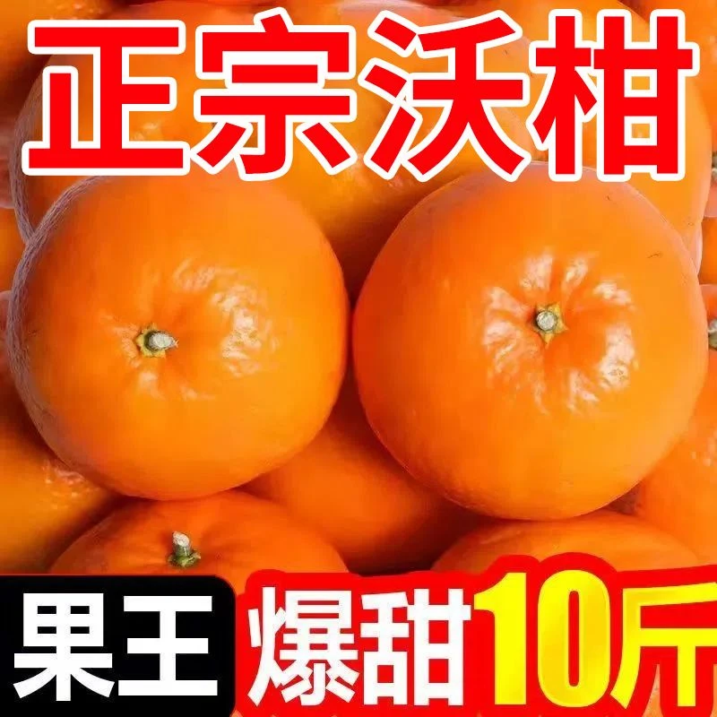 正宗沃柑爆纯甜新鲜批发9斤桔橘子薄皮应季水果批发皮薄云南成熟