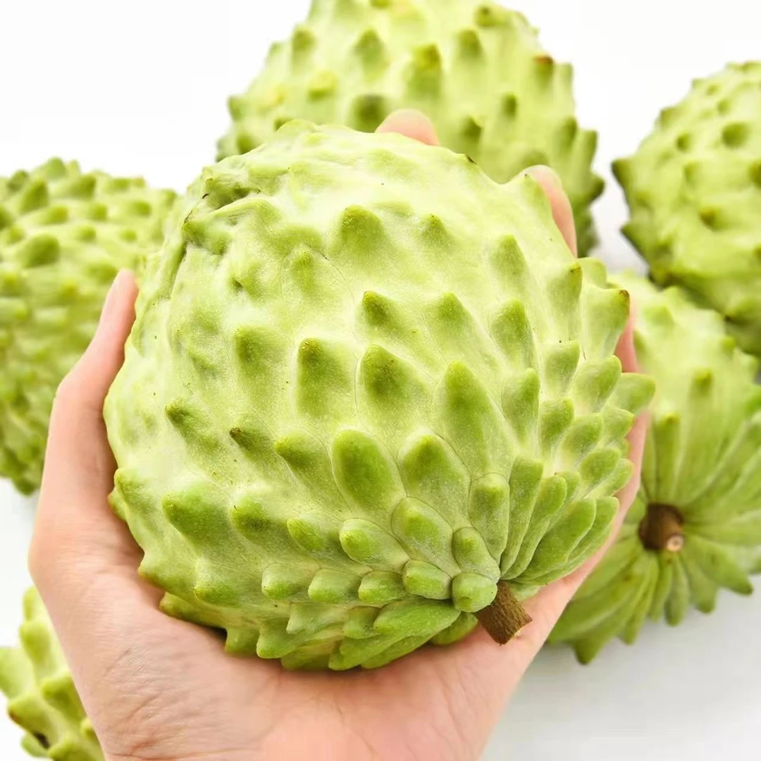 释迦果新鲜大果批发2/3/5斤当季现摘皮薄肉厚凤梨佛头果批发包邮