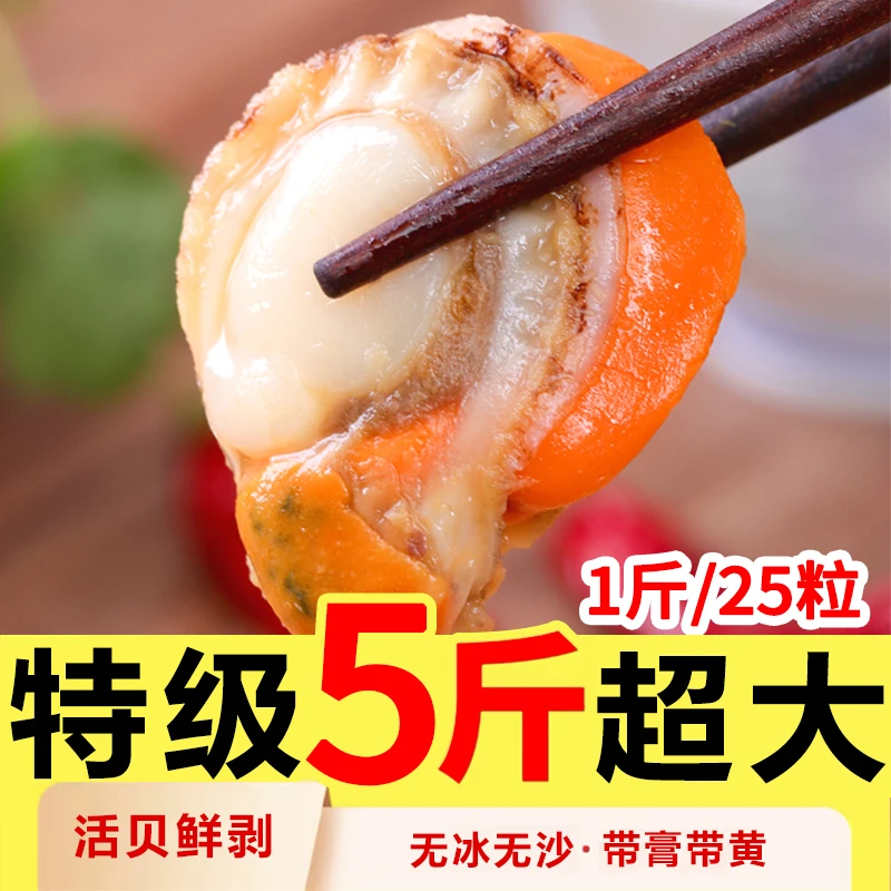 扇贝肉新鲜冷冻特级大号超大鲜活红贝蒜蓉粉丝扇贝无冰衣商用批发