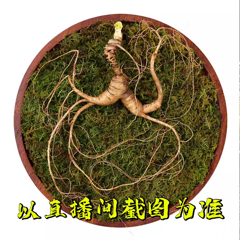 高货籽儿货100g煲汤泡酒泡水人参食用泡茶花【以直播间描述为主】