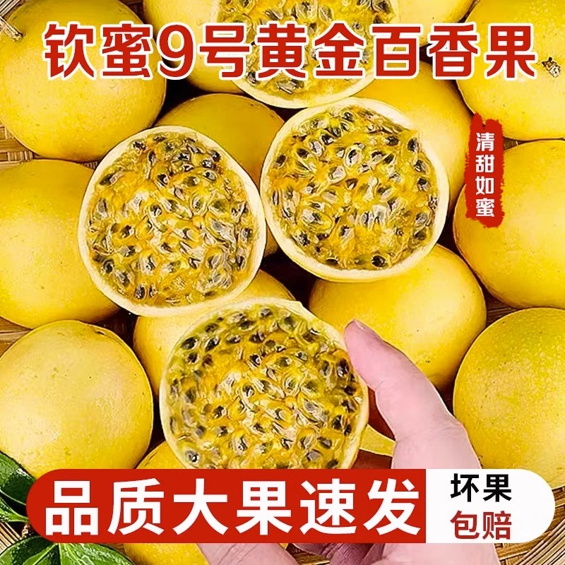 【产地直发】钦蜜9号黄金百香果1斤正宗广西当季新鲜水果农家种植果