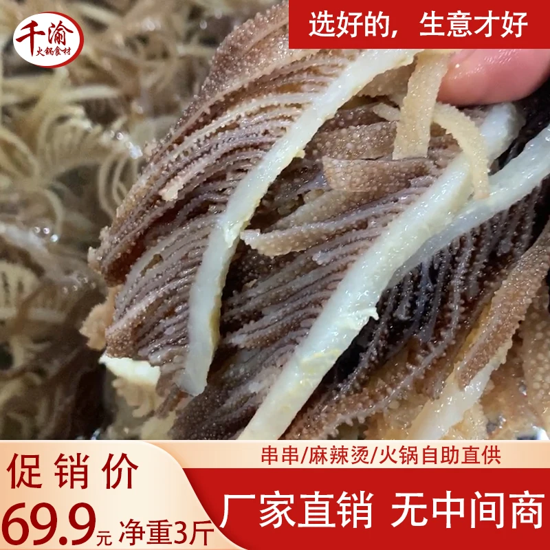 火锅毛肚新鲜黑千层冰鲜牛百叶牛肚重庆火锅串串自助餐商用食材