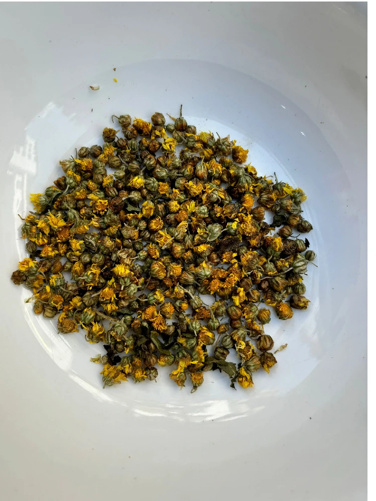 野生菊花叶菜类野生山菊花干货250g