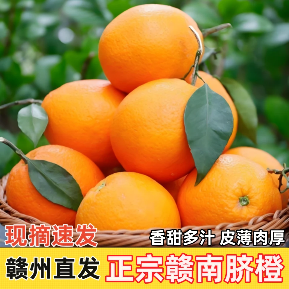 （京东快递）正宗赣南脐橙江西脐橙现摘现发 新鲜直达净重9斤