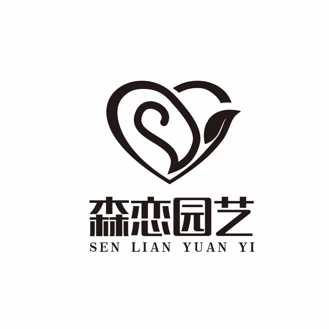 森恋园艺多肉植物