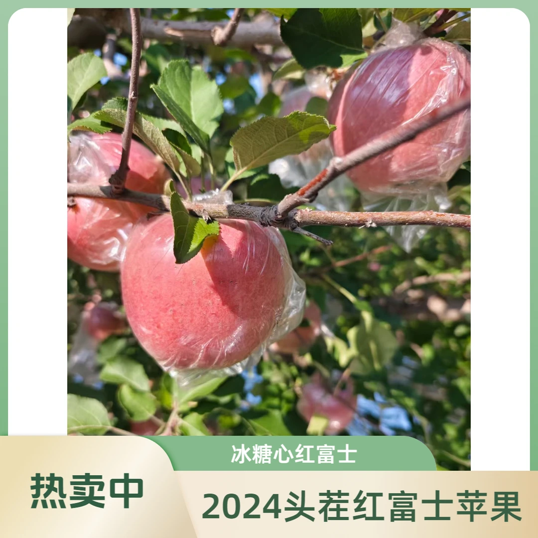 红富士冰糖心丑苹果2024应季新鲜水果整箱批发产地直发顺丰上门