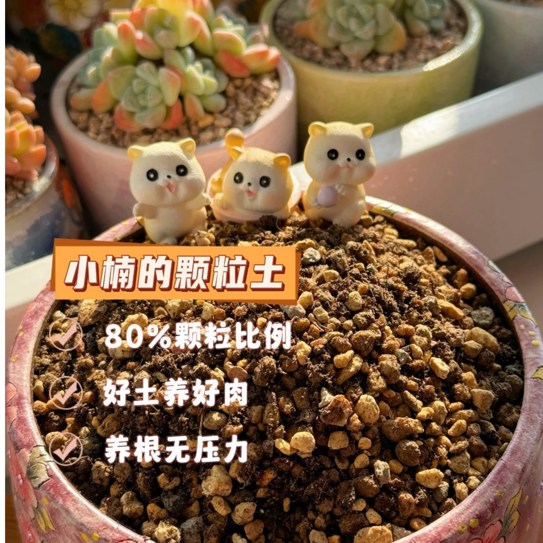 【小楠专属】多肉颗粒土保水透气易生根易控型多种进口颗粒配比