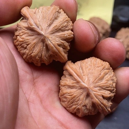 文玩核桃把件磨盘