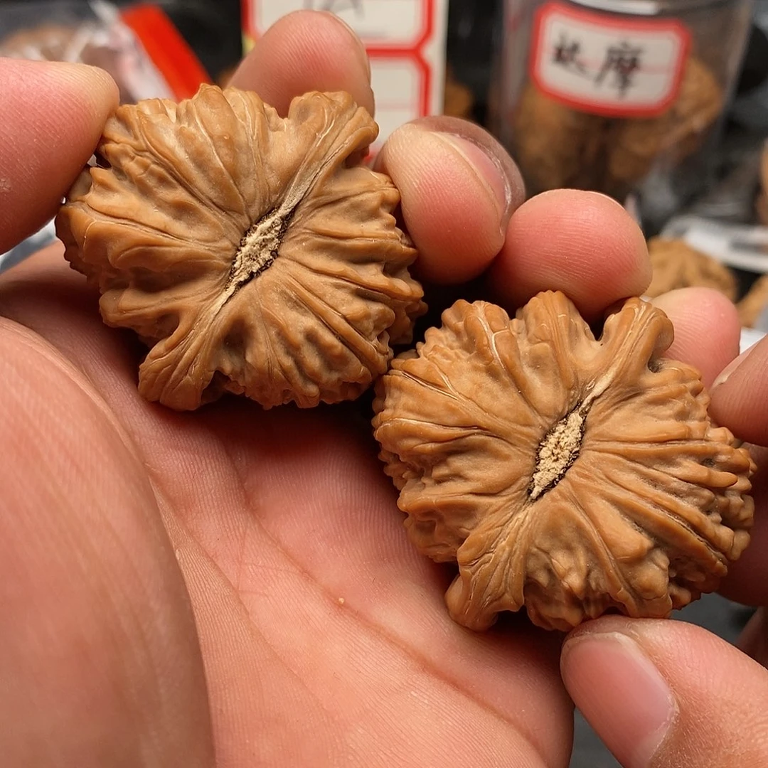 文玩核桃把件白狮子43
