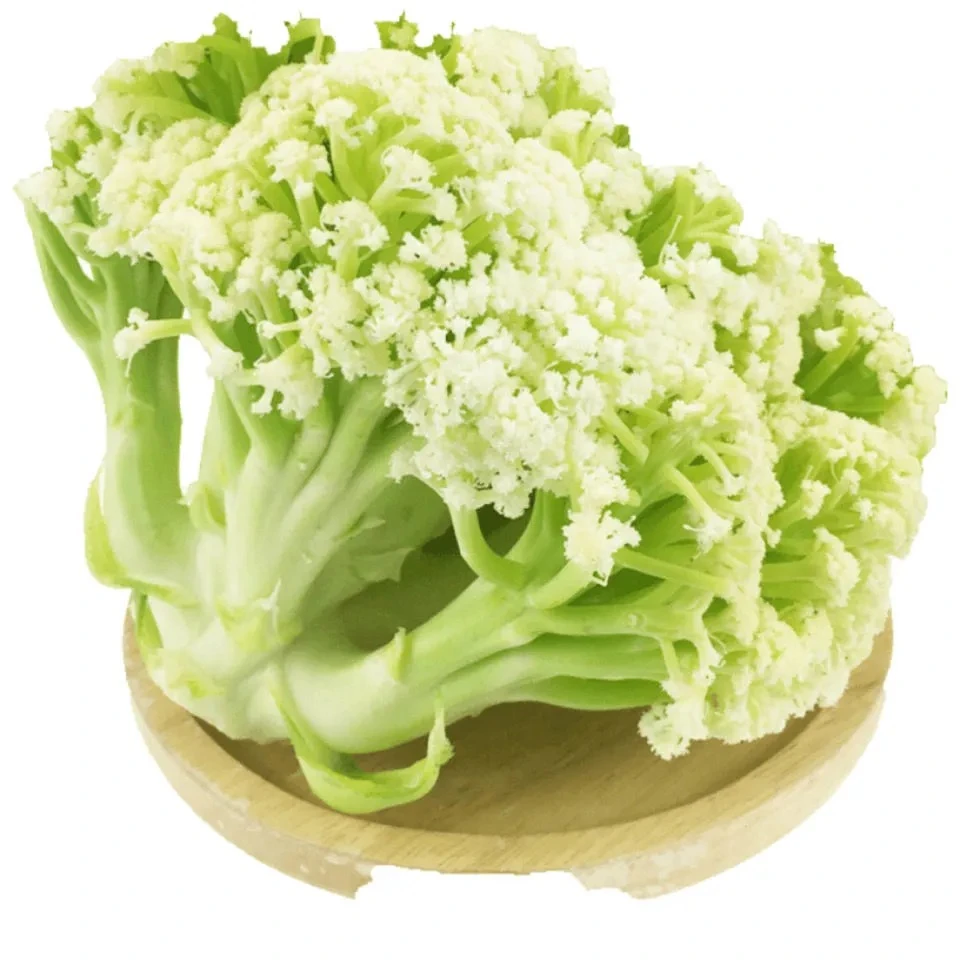 松花菜新鲜花椰菜青梗花菜菜花球白菜花时令自种散花菜1-5斤
