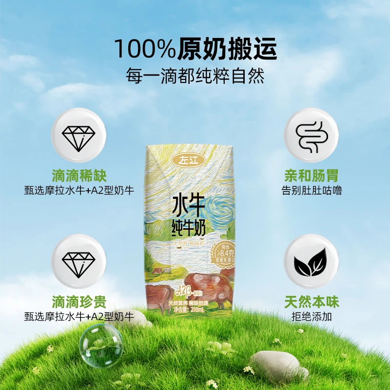 左江 A2β-酪蛋白纯牛奶210ml10盒学生早餐奶水牛奶左江水牛纯牛奶
