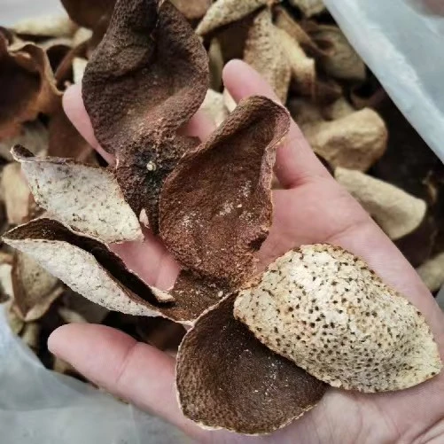 【梅江断皮】6年2018梅江产区梅子香干仓储存新会陈皮断皮