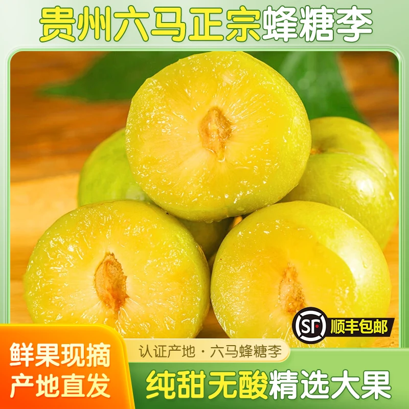 【买一箱送一箱】贵州镇宁六马蜂糖李产地直发正宗香甜