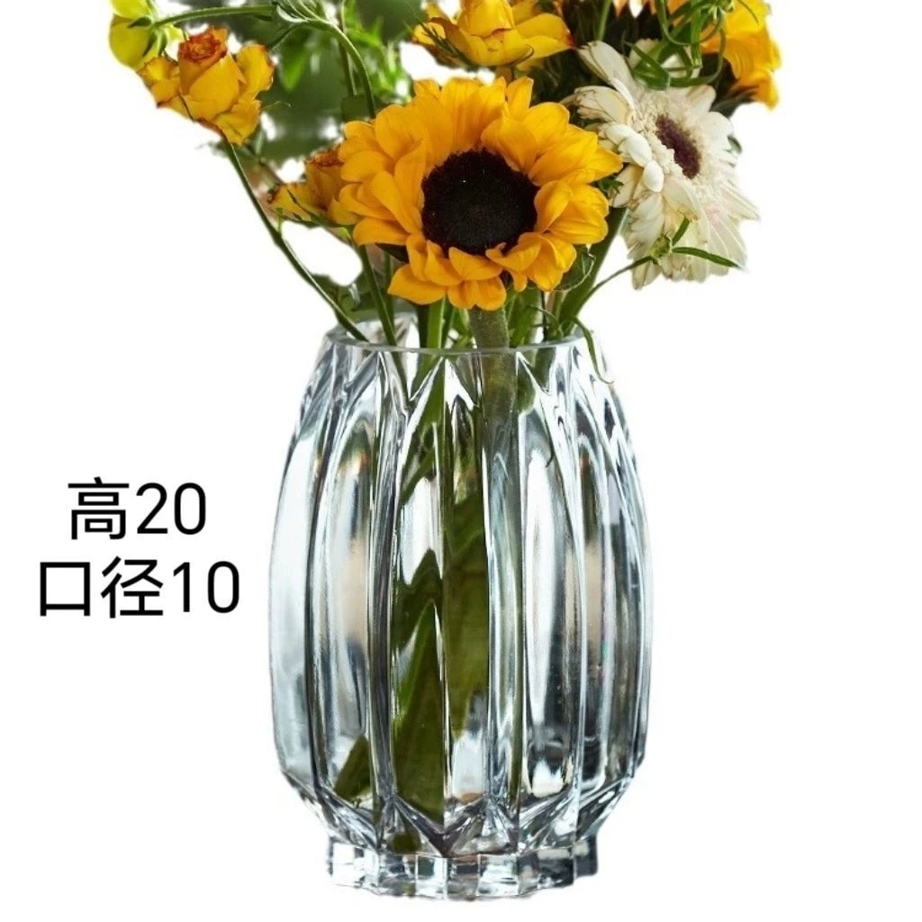 创意花瓶玻璃透明水养客厅摆件鲜花插花瓶北欧简约富贵竹干花花