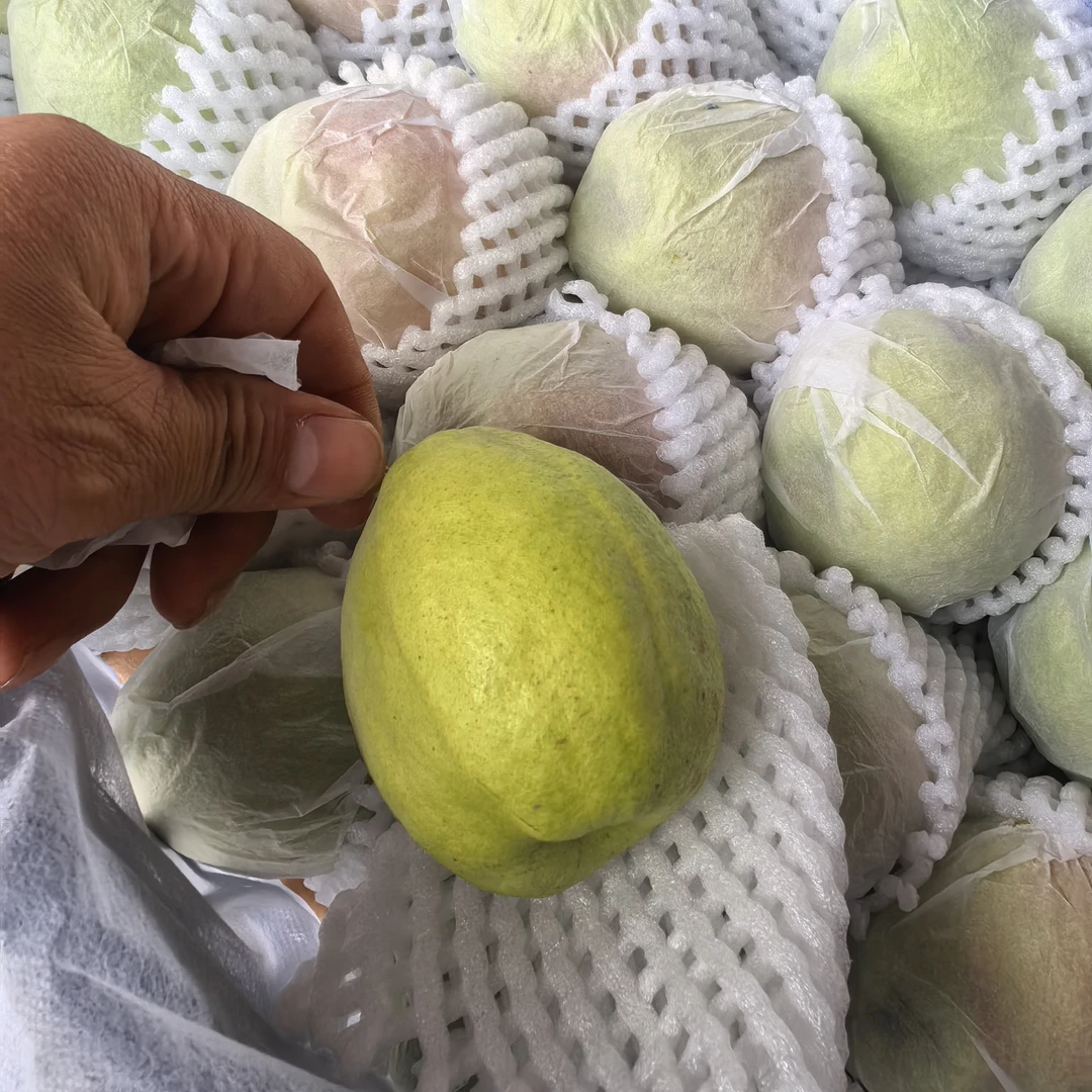 【京东包邮】库尔勒沙依东公母混装香梨 3kg±200g毛重
