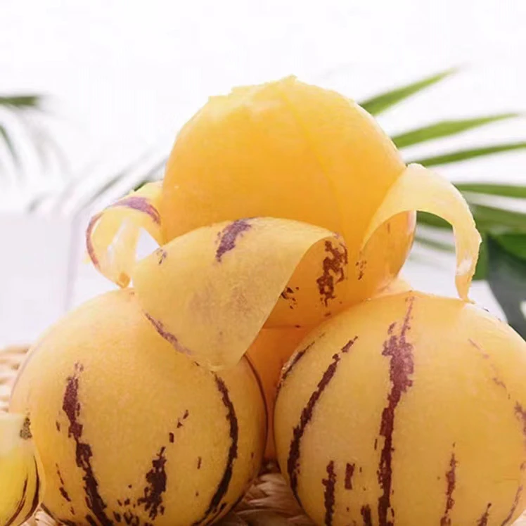 【全疆包邮】云南七彩人参果