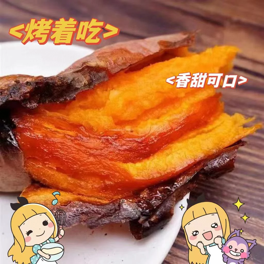【全疆包邮】山东烟薯25号蜜薯 净重4斤 新鲜糖心番薯红薯烤地瓜