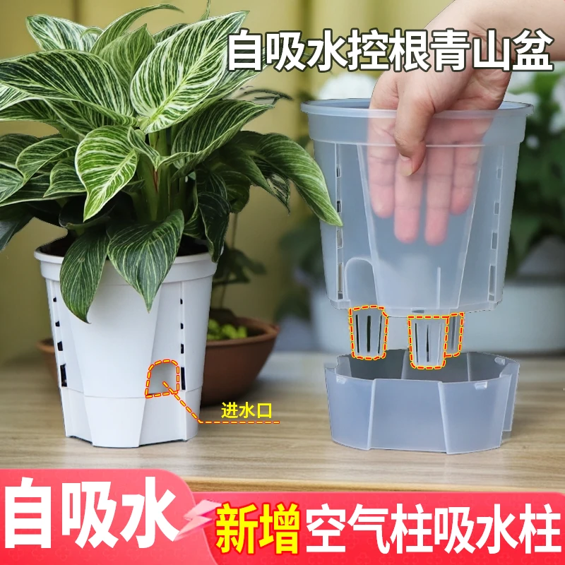 新款储水青山盆秋海棠蝴蝶兰种植透气家用大号简约透明自吸水花盆